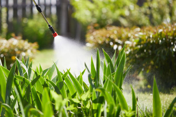 24/7 Emergency Wasp Removal experts in Lake Forest, IL
