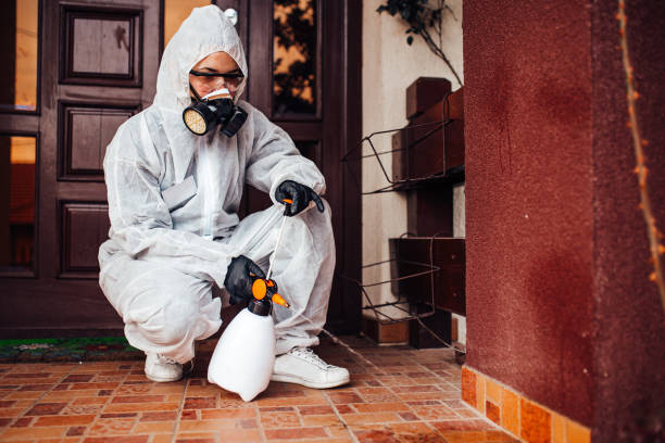 Reliable Wasp Removal contractor in Lake Forest, IL by Show Me Pest Control